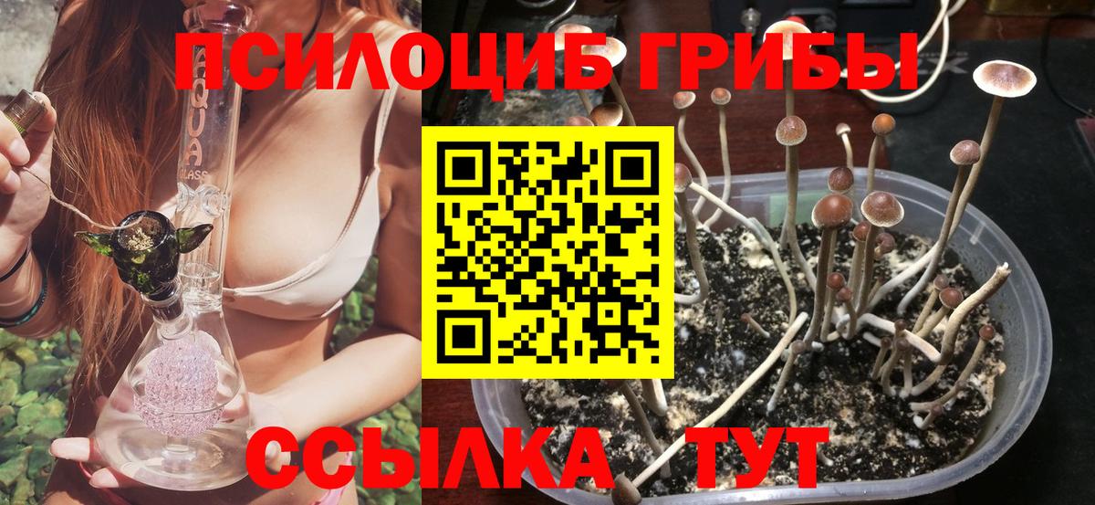 Галлюциногенные грибы мицелий Батайск
