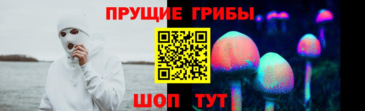 Батайск  Псилоцибиновые грибы Psilocybine cubensis  Галлюциногенные грибы Cubensis  Вход с VPN 